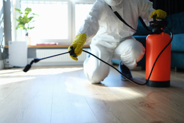 Reliable Odor Removal contractor in Quaker Hill, CT by Trauma Clean Pros